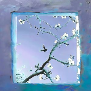 大胸美女慢慢脱下来
