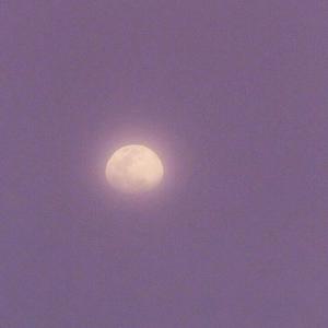 大胸美女慢慢脱下来
